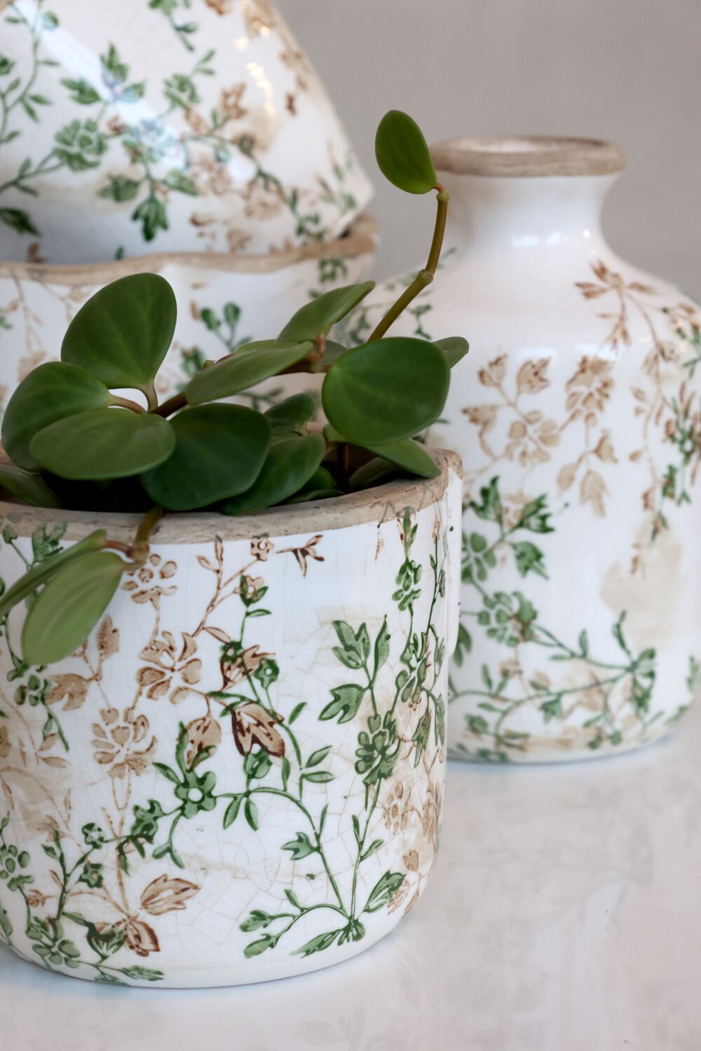 Grasse-ruukku oksa-aiheella Chic Antique