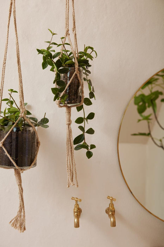 Ib Laursen Juuttinaru amppeli