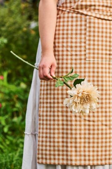 Koristekukka Dahlia kerma Ib Laursen