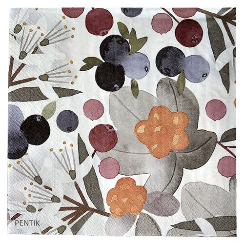 Metsämarja Servietti Multi 25x25 cm 20 kpl